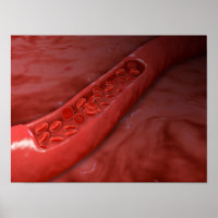 Doorsnede van de batterij met rode bloedcellen