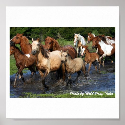 Doortocht Poster (Voorkant)