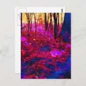 Doorverwezen bos briefkaart (Voorkant / Achterkant)