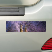 Doorverwezen bos bumpersticker (Op auto)