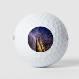Doorverwezen bos golfballen