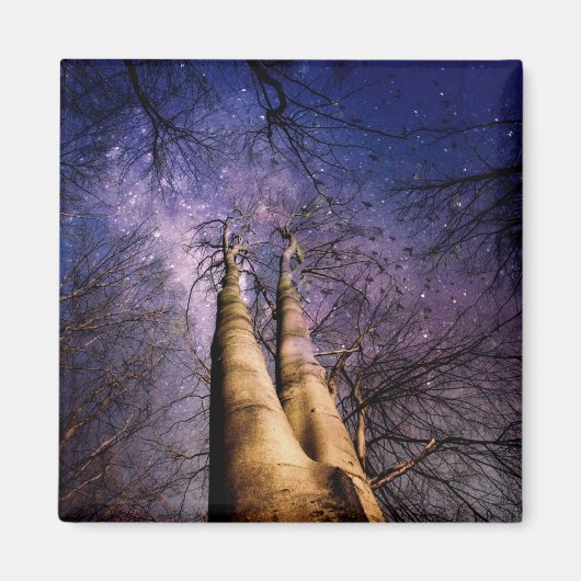 Doorverwezen bos magneet (Voorkant)