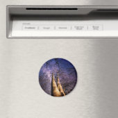 Doorverwezen bos magneet (Insitu (Vaatwasser))