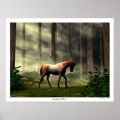 Doorverwezen bos poster (Voorkant)