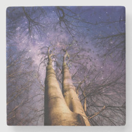 Doorverwezen bos stenen onderzetter