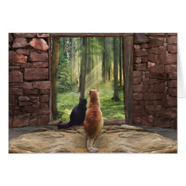 Doorweg naar Forever