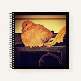 Doorzending Notitieboek