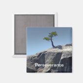 Doorzettingsvermogen ~ Magneet (Voorkant / Achterkant)