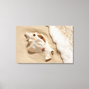 Doorzoeken op strand Grand Turk Caribbean Island Canvas Afdruk