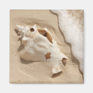 Doorzoeken op strand   Grand Turk Caribbean Island Magneet