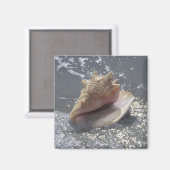 Doorzoeken op strand | Sanibel Island, Florida Magneet (Voorkant / Achterkant)