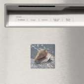 Doorzoeken op strand | Sanibel Island, Florida Magneet (Insitu (Vaatwasser))