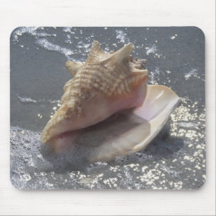Doorzoeken op strand Sanibel Island, Florida Muismat