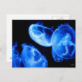 Doos Briefkaart (Voorkant / Achterkant)