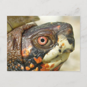 Doos briefkaart. briefkaart