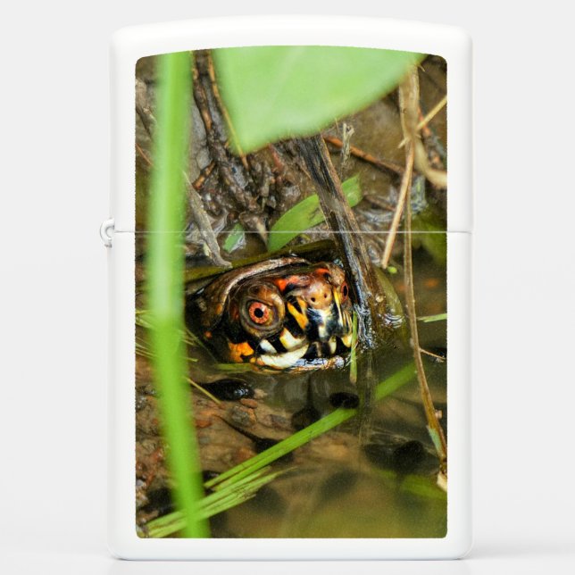 Doos met schildpad (Voorkant)