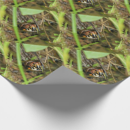 Doos met schildpad cadeaupapier (Hoek)