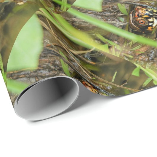 Doos met schildpad cadeaupapier (Rol Hoek)