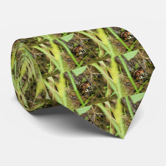 Doos met schildpad stropdas (Opgerold)