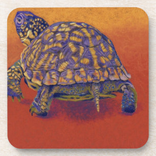 Doos, schildpad onderzetter