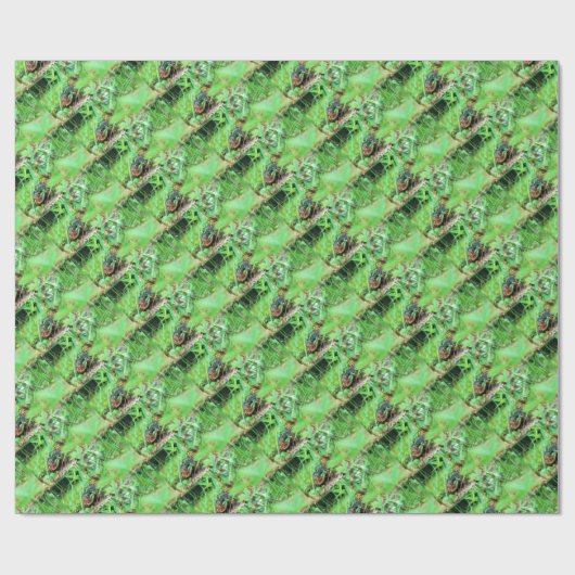 Doos Turtle Wrapping Papier (Vlak)