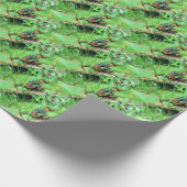 Doos Turtle Wrapping Papier (Hoek)