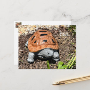 Doosschildpad, Hallo of uw tekst, Aangepaste ansic Briefkaart