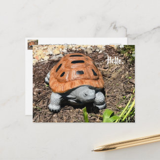 Doosschildpad, Hallo of uw tekst, Aangepaste ansic Briefkaart