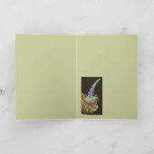 doosschildpad kaart (Binnen)