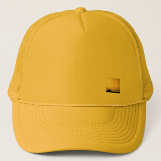 DOP ART EN ONTWERPSTIJL TRUCKER PET