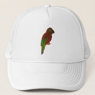 DOP ART EN ONTWERPSTIJL TRUCKER PET