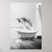 Dophin dans une baignoire Poster (Devant)