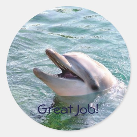 Dophin School Multomap Teacher Reward Sticker (Voorkant)