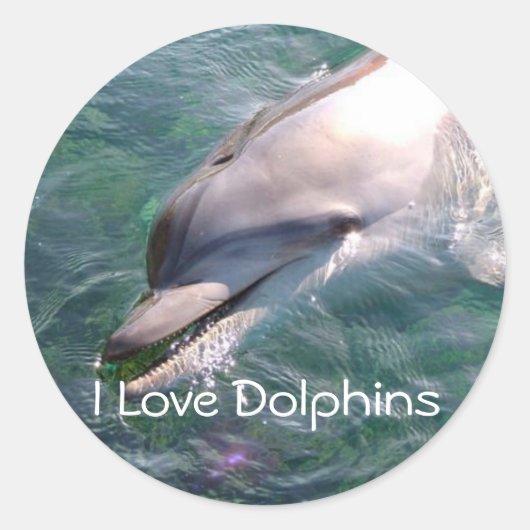 Dophin School Teacher Reward Sticker (Voorkant)