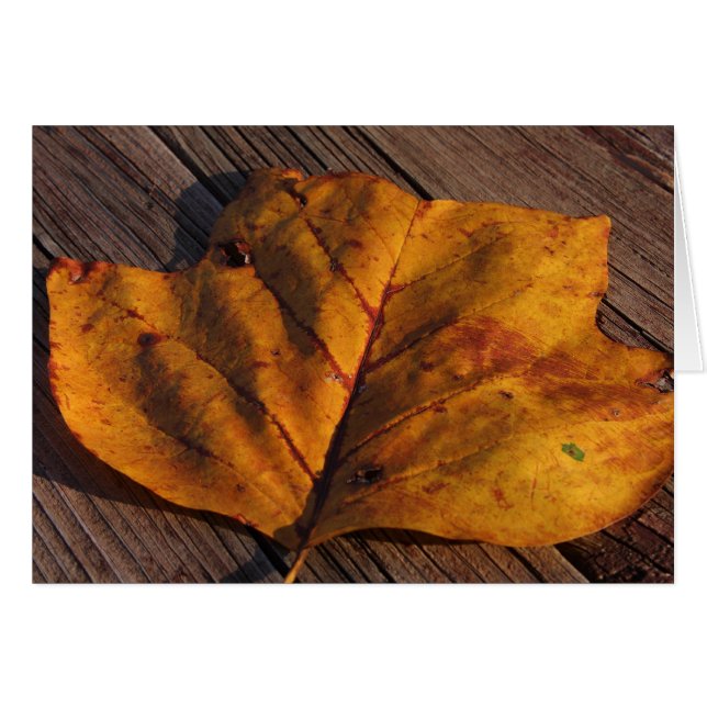 D'or (Devant horizontal)