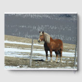 D'or Brouillon Belge En Paddock Livre D'Invité (Verso)