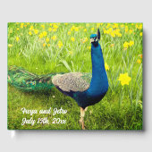 D'or Livre d'hôtes Mariage Peacock (Recto)