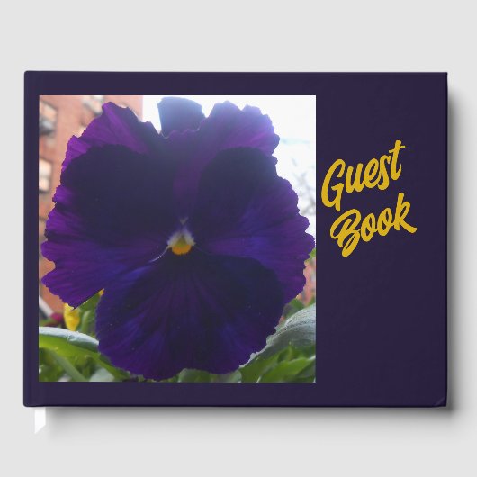 D'or Livre d'hôtes Sibylla (Recto)