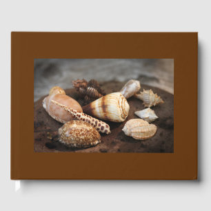 D'or Livre d'invité Sea Shells