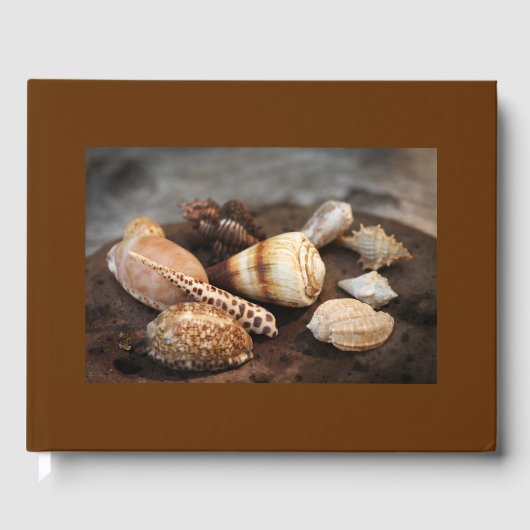 D'or Livre d'invité Sea Shells (Recto)