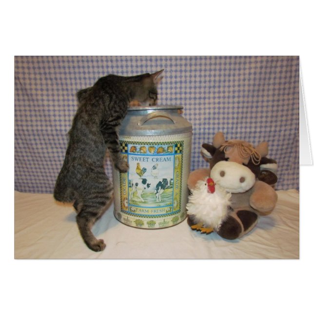 Dora - de crème van het gewas (Voorkant Horizontaal)