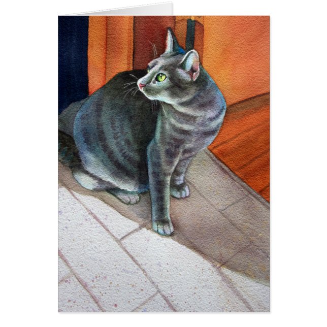 Dora, de Gray Tabby Cat, (Voorkant)