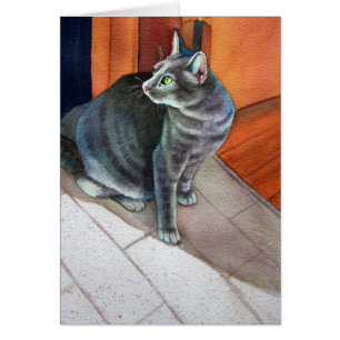 Dora, le chat gris Tabby,