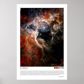 Doradus (Tarantula Nebula, NGC 2070) Poster