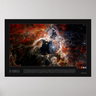Doradus (Tarantula Nebula, NGC 2070) Poster