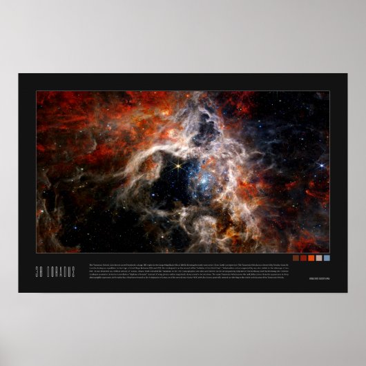 Doradus (Tarantula Nebula, NGC 2070) Poster (Voorkant)