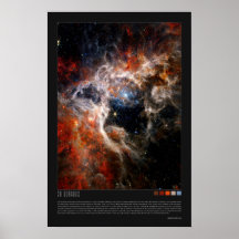 Doradus (Tarantula Nebula, NGC 2070)