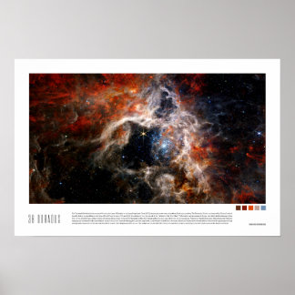 Doradus (Tarantula Nebula, NGC 2070) Poster