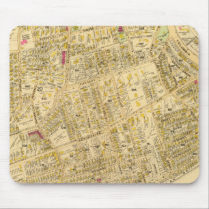 Dorchester, Massachusetts 6 Muismat