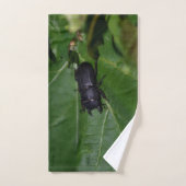 Dorcus parallelipedus, de kleine kever bad handdoek (Handdoek)